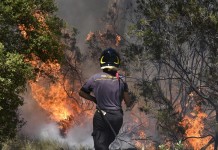 INCENDI IN TOSCANA, DISASTRO IMMANE. RICHIESTA COMUNICAZIONE URGENTE A ROSSI