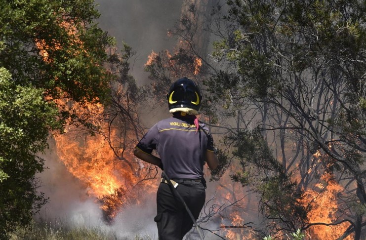 INCENDI IN TOSCANA, DISASTRO IMMANE. RICHIESTA COMUNICAZIONE URGENTE A ROSSI