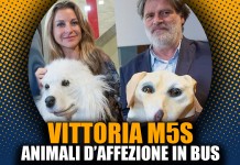 ANIMALI D’AFFEZIONE SUI BUS, APPROVATA IN COMMISSIONE LEGGE M5S
