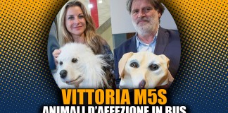 ANIMALI D’AFFEZIONE SUI BUS, APPROVATA IN COMMISSIONE LEGGE M5S