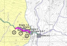PD DIFENDE PROGETTO CONSORZIO BONIFICA TOSCANA SUD SU CREVOLE E CREVOLICCHIO. POSIZIONE ANTISCIENTIFICA E PERICOLOSA