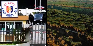 LA DIFESA DEI MILLE ALBERI DA ABBATTERE PER FERMARE IL PROGETTO. ASPETTIAMO PD ALLA PROVA DEL VOTO