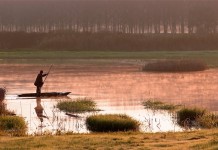 PADULE DI FUCECCHIO E’ RISORSA, SI ASCOLTINO GLI ESPERTI
