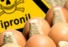 ALLERTA UOVA COL FIPRONIL ARRIVATA 31/7 PERCHE’ REGIONE SI E’ MOSSA UN MESE DOPO?