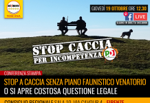 STOP A CACCIA SENZA PIANO FAUNISTICO VENATORIO O SI APRE COSTOSA QUESTIONE LEGALE