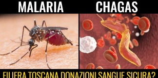 SACCARDI AMMETTE: GRAZIE A NOSTRA AZIONE FILIERA DONAZIONI PER CHAGAS-MALARIA SARA’ OTTIMIZZATA