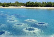 21 MILA METRI QUADRATI DI ARENILE PERSI IN VENT’ANNI, SERVONO SOLUZIONI INNOVATIVE E SOLIDARIETA’