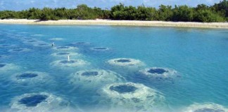 21 MILA METRI QUADRATI DI ARENILE PERSI IN VENT’ANNI, SERVONO SOLUZIONI INNOVATIVE E SOLIDARIETA’