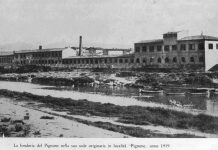 PIGNONE, ORGOGLIO DA PRESERVARE