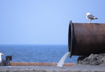 ACQUA MARRON = MALGOVERNO