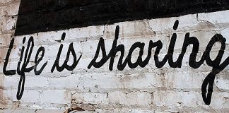 CAR SHARING, DALLE PAROLE AI FATTI