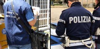 + FORZE DELL’ORDINE E + ISPETTORI DEL LAVORO