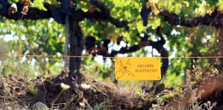 DANNI A COLTURE E ALLEVAMENTI, CONTINUA LA NOSTRA BATTAGLIA PER LA TUTELA DEGLI AGRICOLTORI