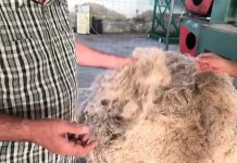 IL TOUR ECO IMPRESA FA TAPPA A CASCIANA TERME