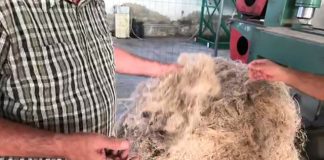 IL TOUR ECO IMPRESA FA TAPPA A CASCIANA TERME