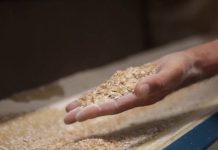 RISCHIO CHIUSURA MOLINO ROSSI DI SAN GIULIANO TERME “CHIEDIAMO MASSIMO IMPEGNO ALLA REGIONE PER SALVARE I POSTI DI LAVORO”