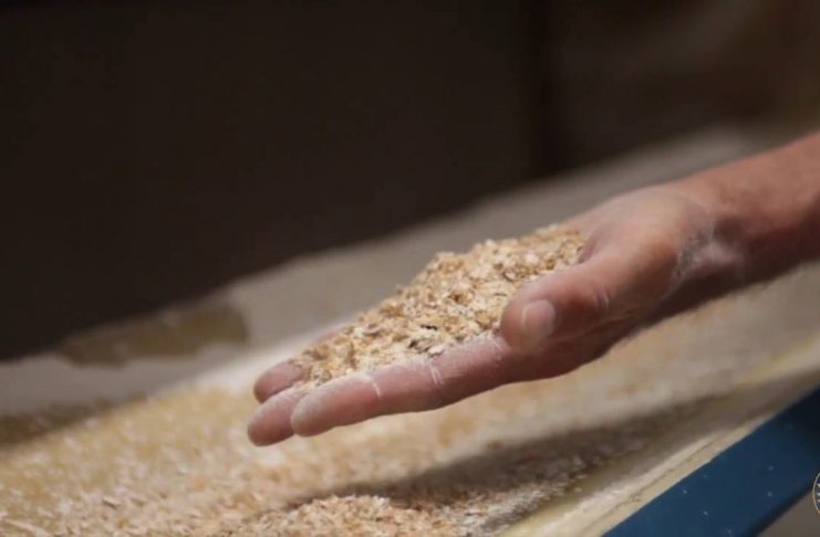 RISCHIO CHIUSURA MOLINO ROSSI DI SAN GIULIANO TERME “CHIEDIAMO MASSIMO IMPEGNO ALLA REGIONE PER SALVARE I POSTI DI LAVORO”