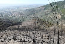 STOP CACCIA A RIDOSSO AREE INCENDIATE, MA IL CONSIGLIO BOCCIA LA PROPOSTA