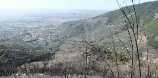 INCENDIO DI CALCI, ARRIVA RISOLUZIONE UNANIME PER GARANTIRE IL SOSTEGNO FINANZIARIO ALLE AZIENDE AGRICOLE DANNEGGIATE