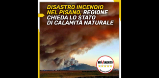 DISASTRO INCENDIO NEL PISANO, LA REGIONE SI ATTIVI QUANTO PRIMA