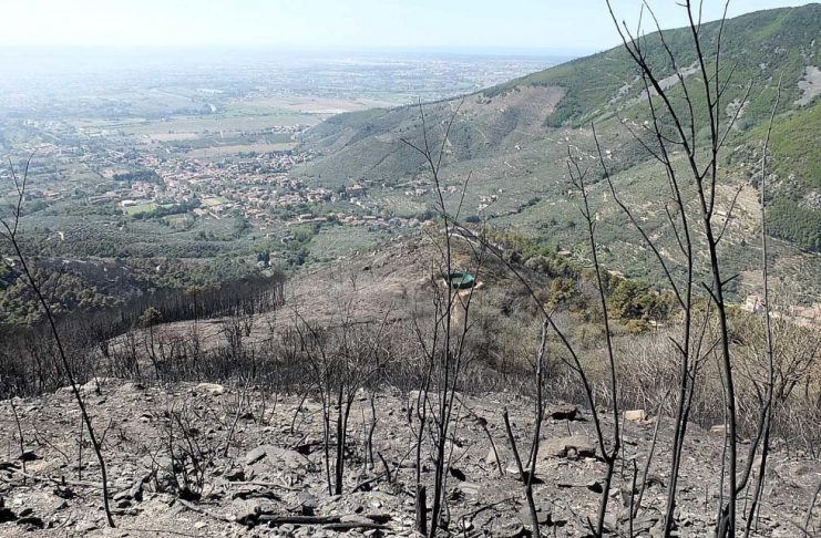 INCENDIO DI CALCI, ARRIVA RISOLUZIONE UNANIME PER GARANTIRE IL SOSTEGNO FINANZIARIO ALLE AZIENDE AGRICOLE DANNEGGIATE