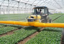 QUALITA’ IN AGRICOLTURA, LA NOSTRA BATTAGLIA