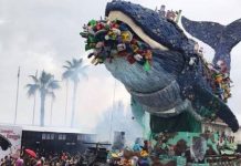 Carnevale di Viareggio, l’evento deve potersi autosostenere