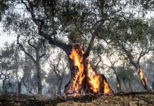 Rogo del Serra, stanziati due milioni di euro