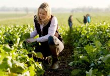 Più sicurezza in agricoltura con l’Odg del M5S