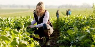 Più sicurezza in agricoltura con l’Odg del M5S