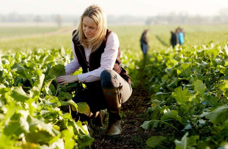 Più sicurezza in agricoltura con l’Odg del M5S