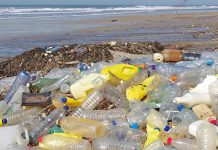 Plastic free day, le parole di Giannarelli