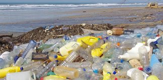 Plastic free day, le parole di Giannarelli