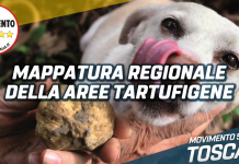 Tartufi, M5S chiede subito una mappatura regionale