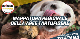 Tartufi, M5S chiede subito una mappatura regionale