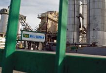 Valli Zabban, interrogazione del Movimento 5 stelle