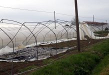 Galletti (M5S): “Riguardo gli incentivi per le aziende colpite da calamità naturali serve programmazione”