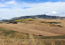 Maggiore attenzione per le campagne, intervento di Irene Galletti (M5S) a margine della presentazione del distretto rurale della Val di Cecina