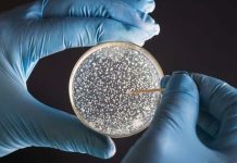 Batterio New Dehli, Andrea Quartini (M5S): “Immediato controllo di tutte le strutture sanitarie”