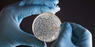 Batterio New Dehli, Andrea Quartini (M5S): “Immediato controllo di tutte le strutture sanitarie”