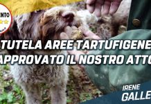 Valorizzazione delle aree tartufigene, passa in Consiglio la proposta di Galletti (M5S)