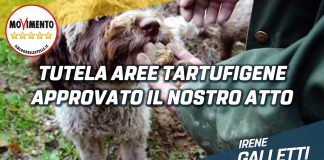Valorizzazione delle aree tartufigene, passa in Consiglio la proposta di Galletti (M5S)