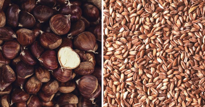 Farro-castagne