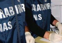 Blatte morte nella mensa che rifornisce le scuole, lo sconcerto di Irene Galletti (M5S): “La Giunta comunale di Cascina ha delle responsabilità”