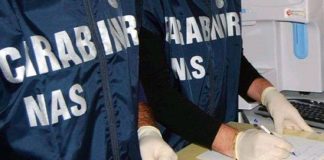 Blatte morte nella mensa che rifornisce le scuole, lo sconcerto di Irene Galletti (M5S): “La Giunta comunale di Cascina ha delle responsabilità”