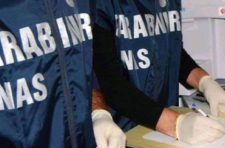 Blatte morte nella mensa che rifornisce le scuole, lo sconcerto di Irene Galletti (M5S): “La Giunta comunale di Cascina ha delle responsabilità”