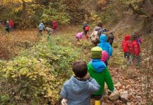 Scuola materna nel bosco, Irene Galletti (M5S): “Realtà ampiamente diffusa nel nord europa, i bimbi siano a contatto con l’esterno e con materiali naturali”. Approvata mozione in Consiglio regionale
