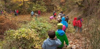 Scuola materna nel bosco, Irene Galletti (M5S): “Realtà ampiamente diffusa nel nord europa, i bimbi siano a contatto con l’esterno e con materiali naturali”. Approvata mozione in Consiglio regionale