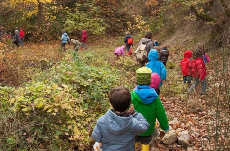 Scuola materna nel bosco, Irene Galletti (M5S): “Realtà ampiamente diffusa nel nord europa, i bimbi siano a contatto con l’esterno e con materiali naturali”. Approvata mozione in Consiglio regionale