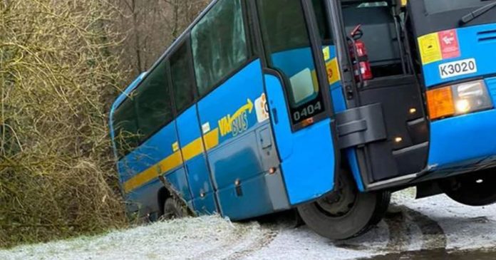 bus